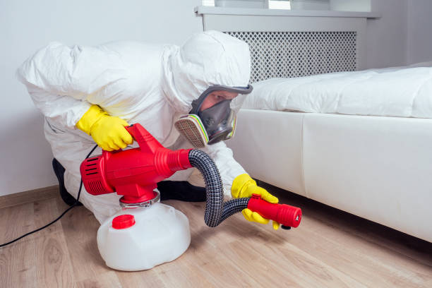 Best Affordable Pest Control Services  in Shenandoah, LA